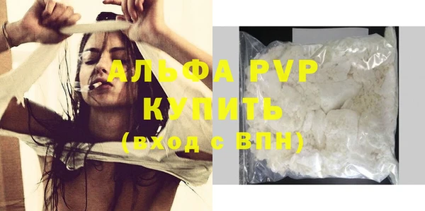 прущие грибы Пестово
