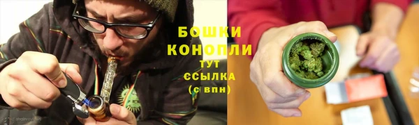 прущие грибы Пестово