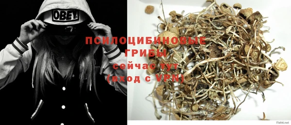 прущие грибы Пестово