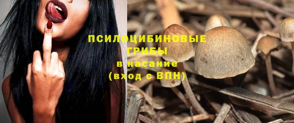 героин Алзамай